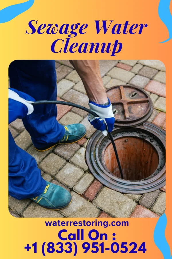 Sewage Water Cleanup in Pinetop Country Club, AZ